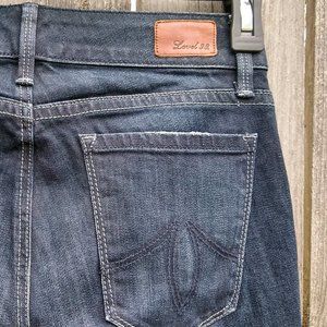 NEW Level 99 Jeans, Straight fit (Size 24)